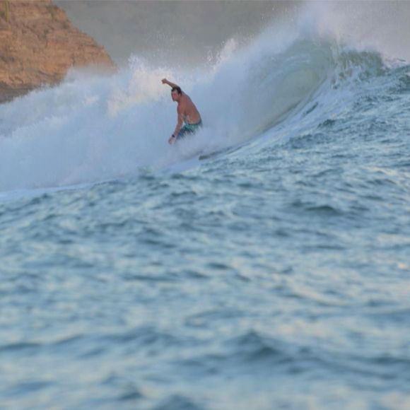 Meet your Posher, Bo - Picture 1 of 1